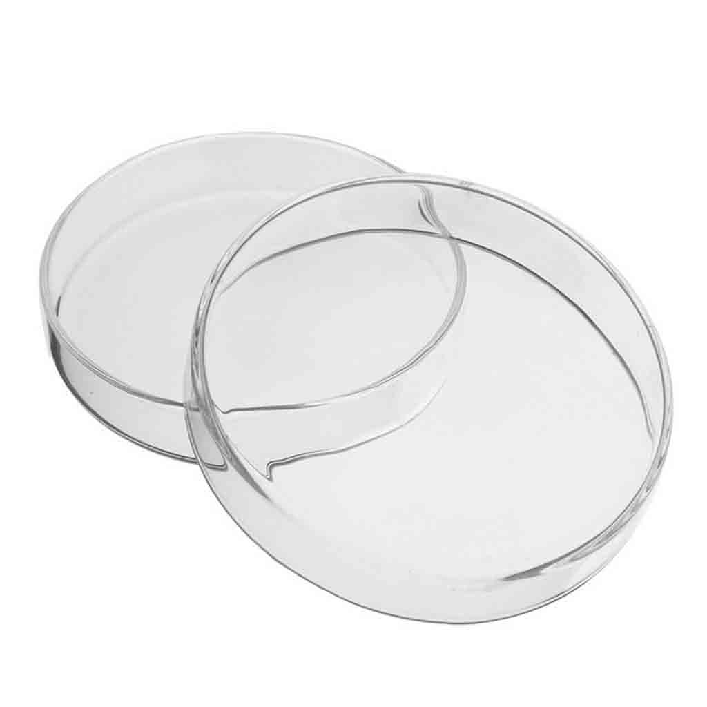 Placa de Petri Vidro 80×15