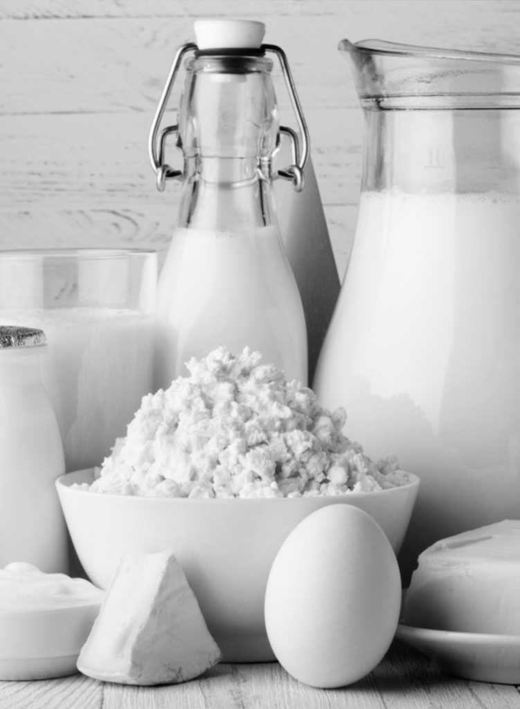 Indústria deLaticínios